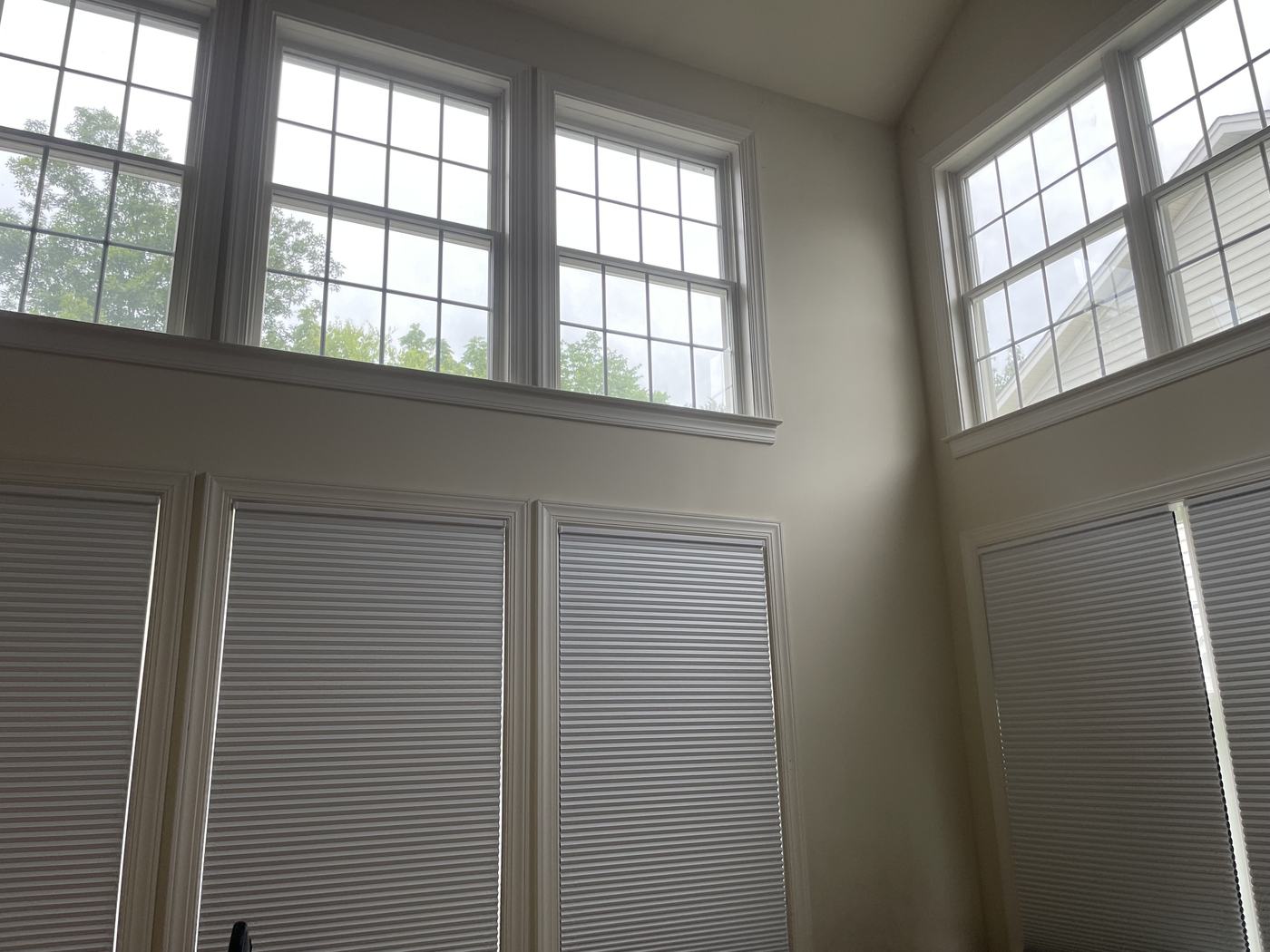 After, photo 6 of 6
